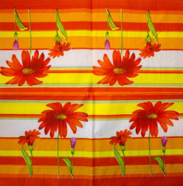 348 Daisies - 3-ply - CS